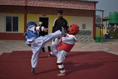 Taekwondo
